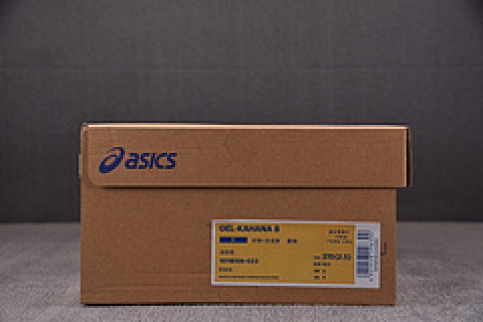 As*ic*ss shoes
